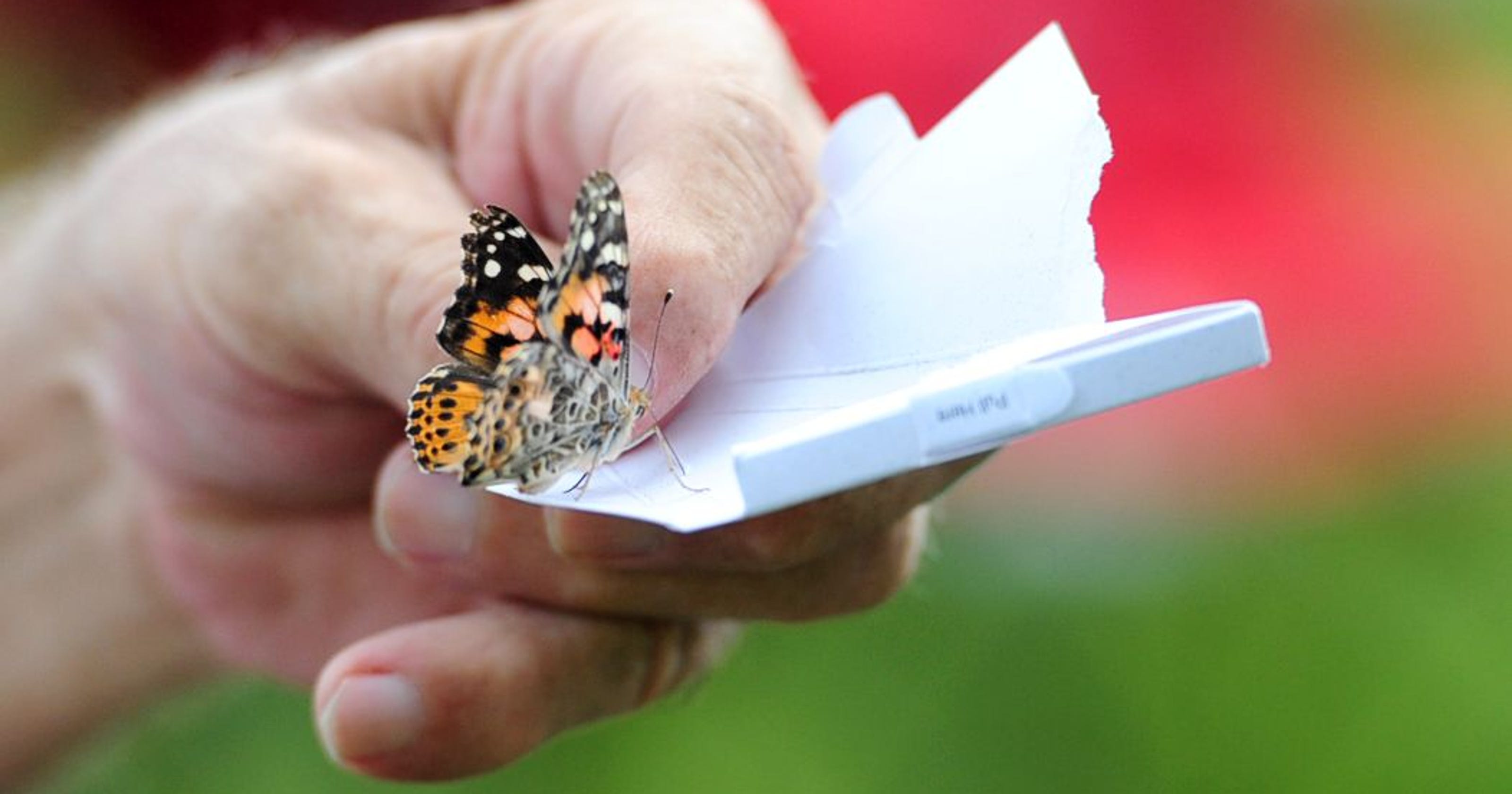Butterfly release nvh
